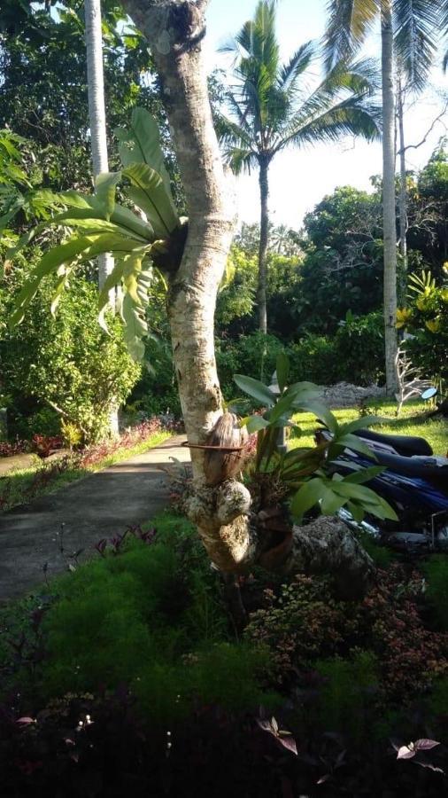 Balian Bliss Retreat Resort - Adults Only Екстериор снимка