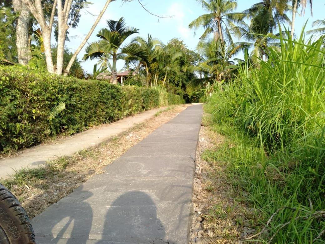 Balian Bliss Retreat Resort - Adults Only Екстериор снимка