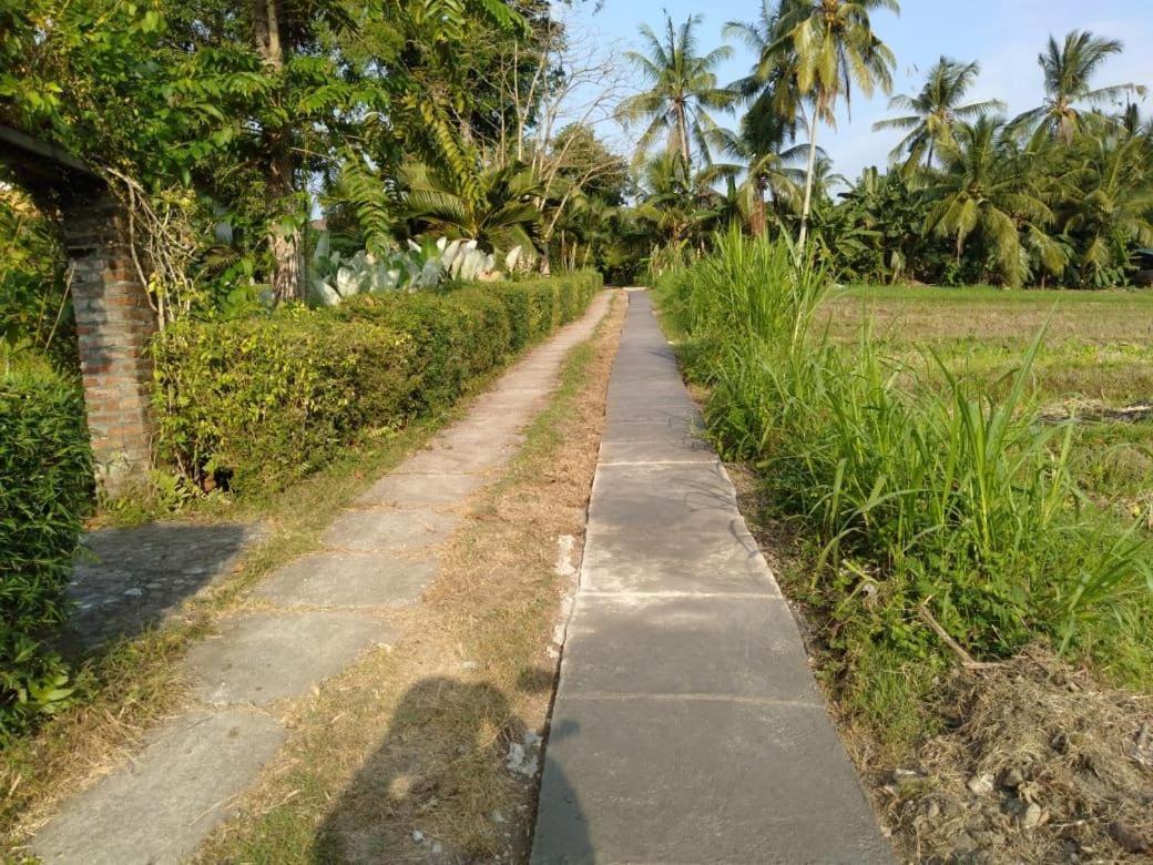 Balian Bliss Retreat Resort - Adults Only Екстериор снимка